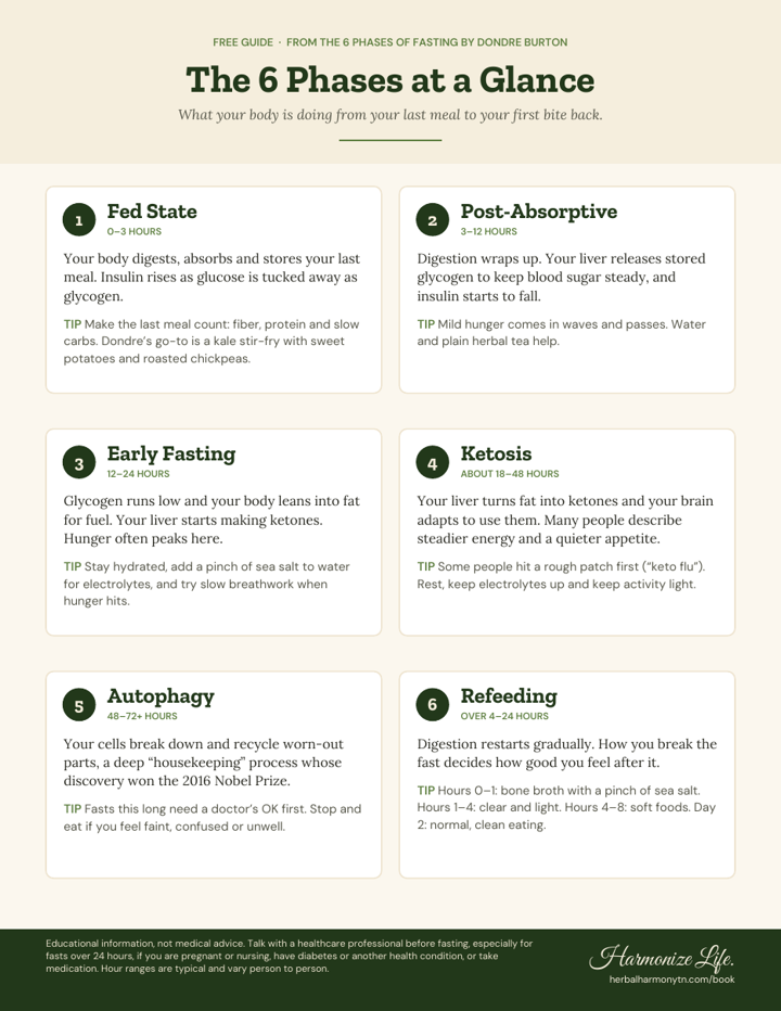 Preview of The 6 Phases at a Glance one-page guide